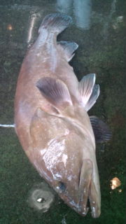 20110621105131.jpg
