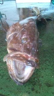 20110629151915.jpg