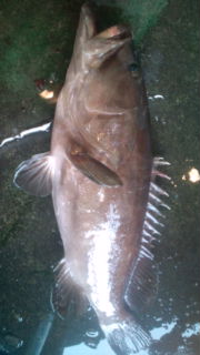 20110707105916.jpg